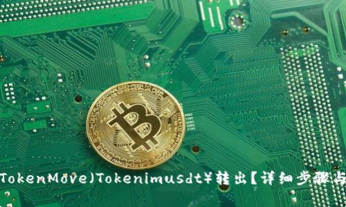 : 如何将TokenMove（Tokenimusdt）转出？详细步骤与注意事项